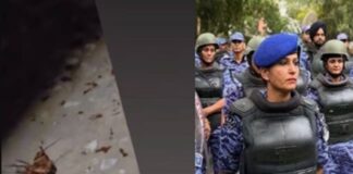 RAF अफसर सोनिया का ‘कॉकरोच’ वाला तंज वायरल, संसद मार्च की हिंसा के बाद इंस्टा स्टोरी पर मचा बवाल